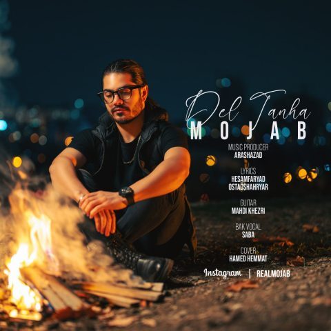 مجاب - دل تنها